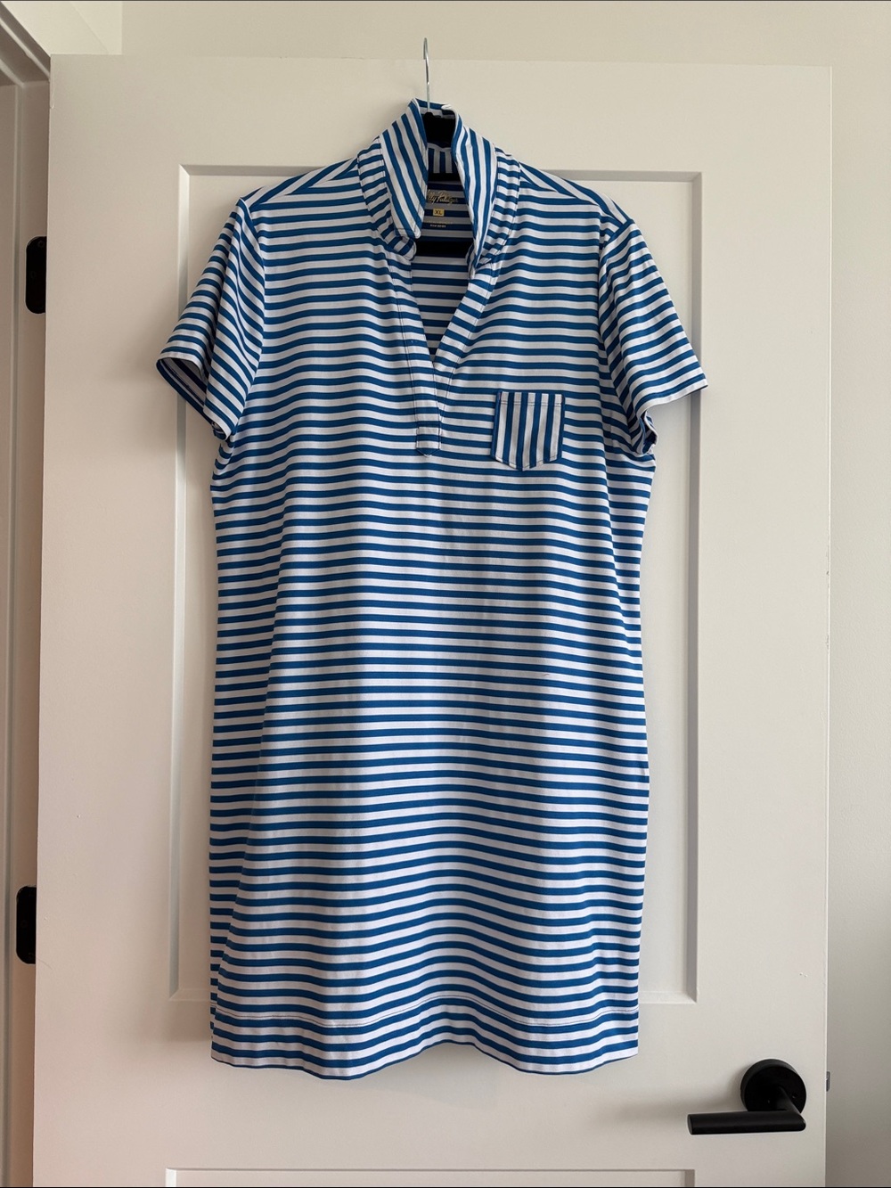 Lilly Pulitzer Blue and White Striped Polo Dress